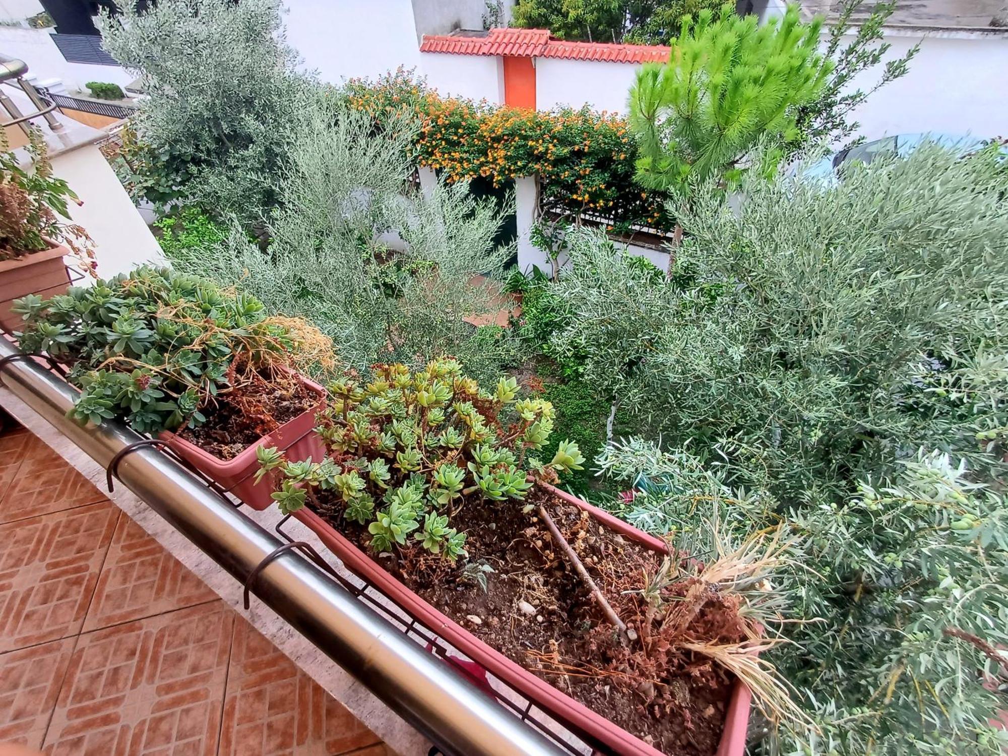 Guest Room Near Historical Center Vlorë Exterior foto